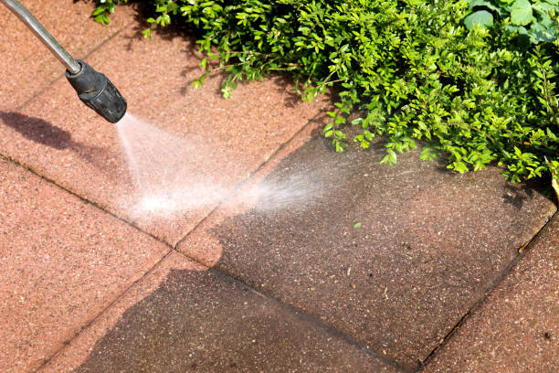 Best House Pressure Washing  in , LA